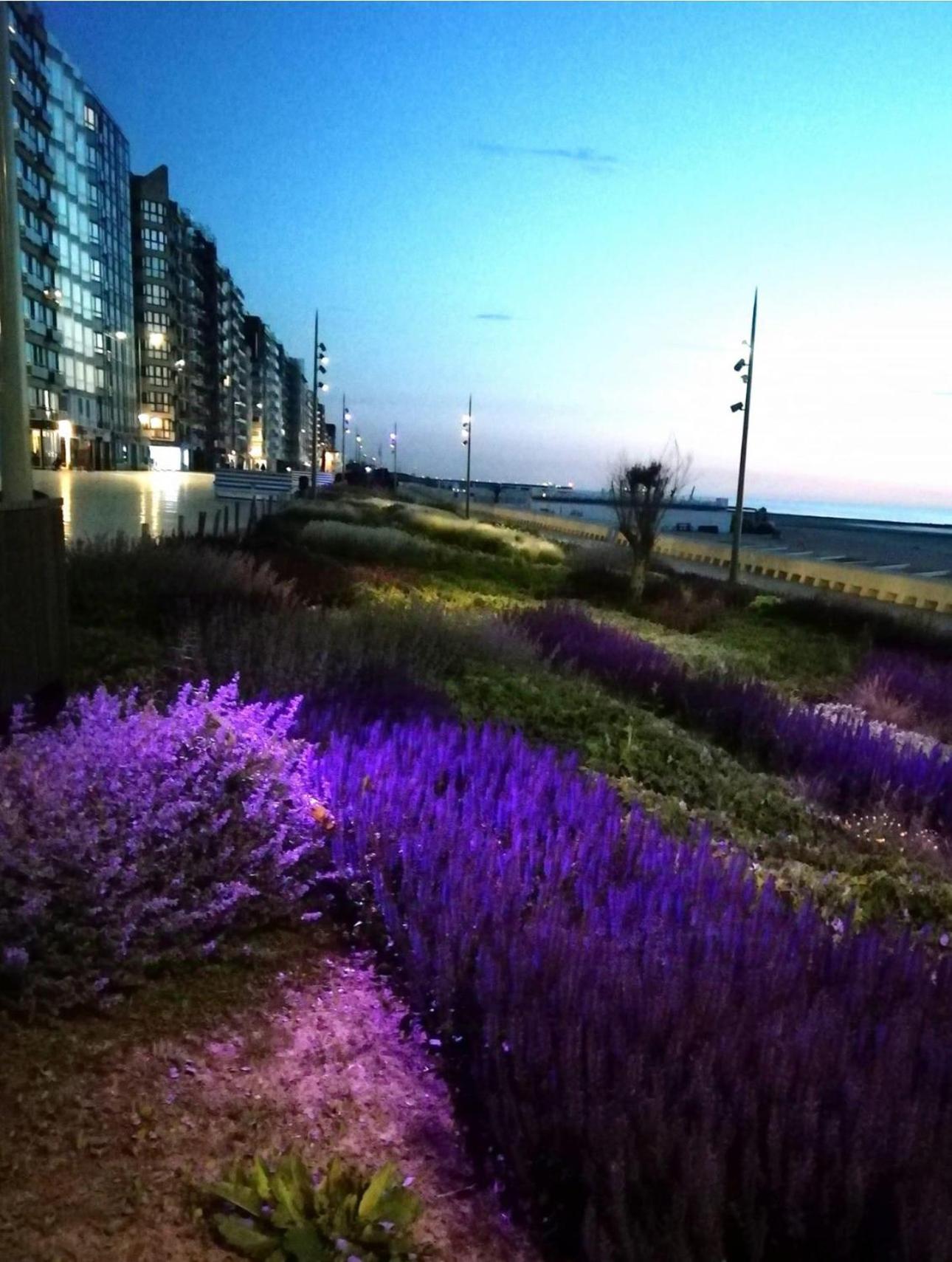 West-end Beach Middelkerke Exterior foto